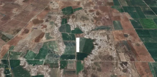 EMLAX'TAN HAFİK / GÖYDÜN'DE SATILIK 7.529,26 m2 TEK TAPU TARLA fotoğraf 5