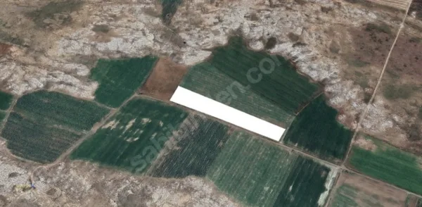 EMLAX'TAN HAFİK / GÖYDÜN'DE SATILIK 7.529,26 m2 TEK TAPU TARLA fotoğraf 2